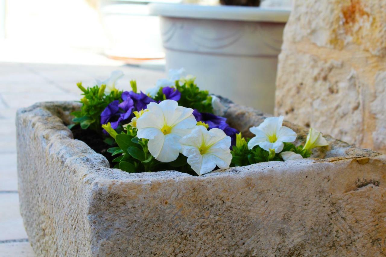 アルベロベッロ Trulli Antica Fonte Bed & Breakfast エクステリア 写真